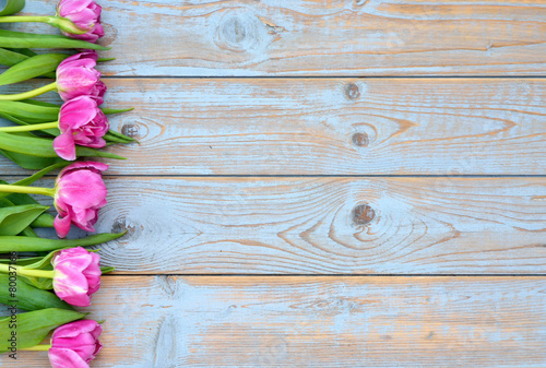 Row of pink tulips on old wood with empty space