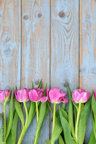 Row of pink tulips on old wood with empty space
