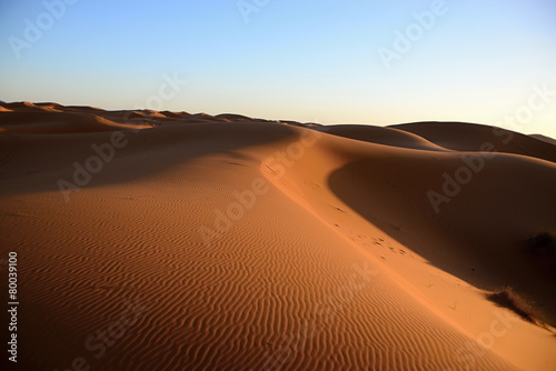 Desert © radekprocyk