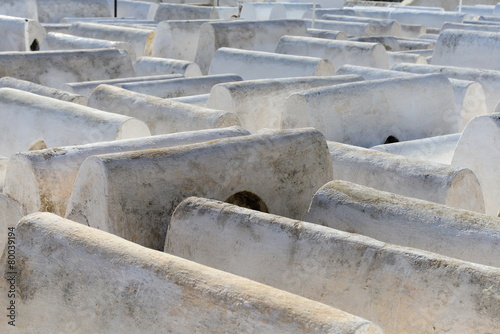 jewish graves