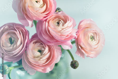 Obraz na plátně Bouquet of pink ranunculus in vase