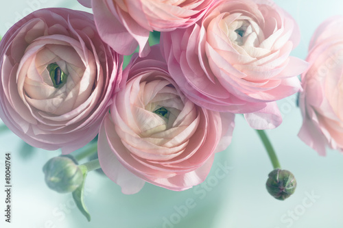 Canvastavla Bouquet of pink ranunculus in vase