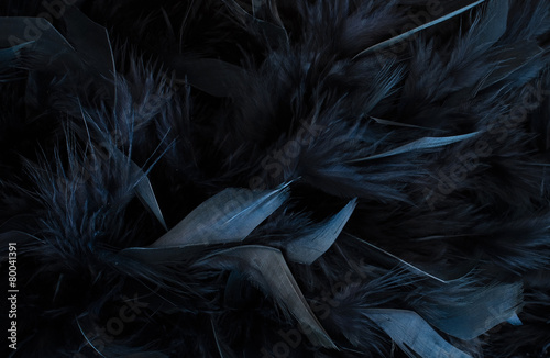 black feather