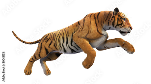 Fototapeta Naklejka Na Ścianę i Meble -  Tiger running, animal isolated on white background