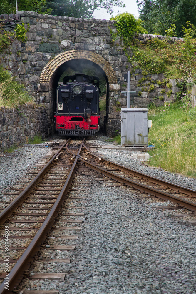 Fototapeta premium Welsh Highland narrow gauge railway. Steam Locomotive approaches