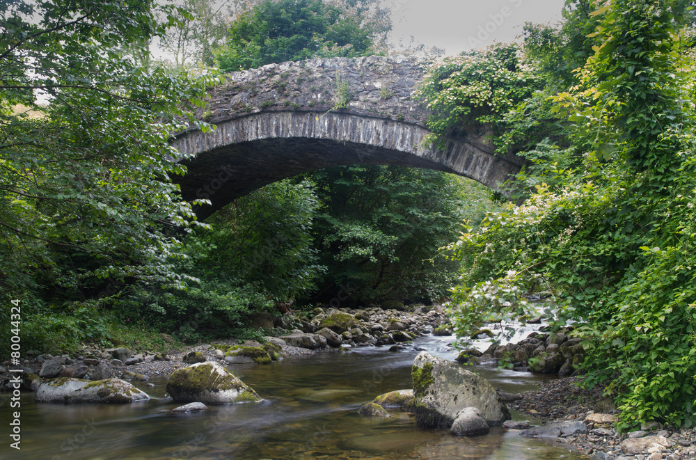 Stony stream in woodland with bridge Stony stream in woodland with bridge