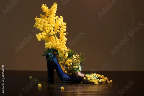 Mimose nella scarpa