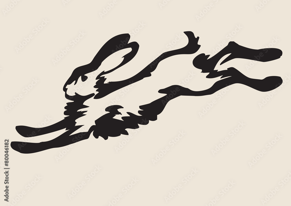 Fototapeta premium Running hare