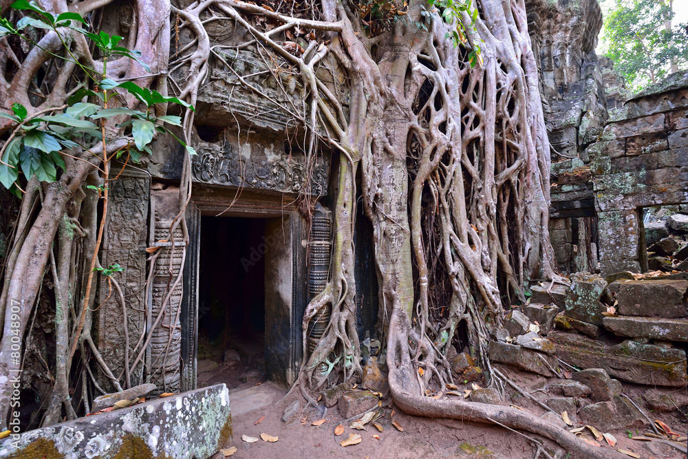Ta Phrom temple ruins and tree's rubble in Siem Reap, Cambodia