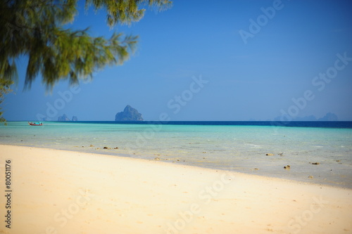White Sand Beach on Paradise Island © karinkamon