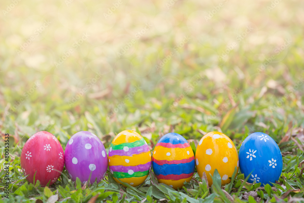 Row of colorful easter eggs on grass