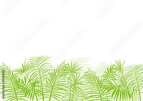 Palm tree leaf vector background