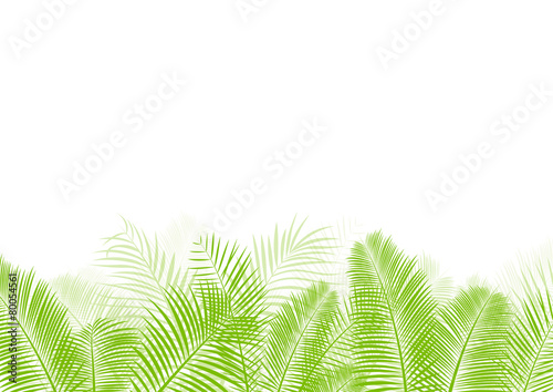 Palm tree leaf vector background