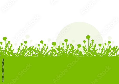 Spring landscape with dandelions flowers vector background green