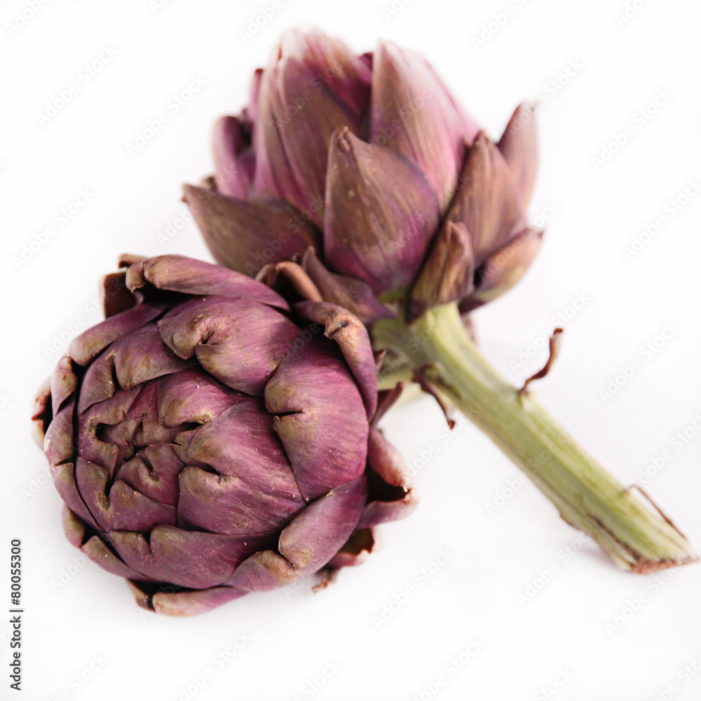 Obraz premium artichoke