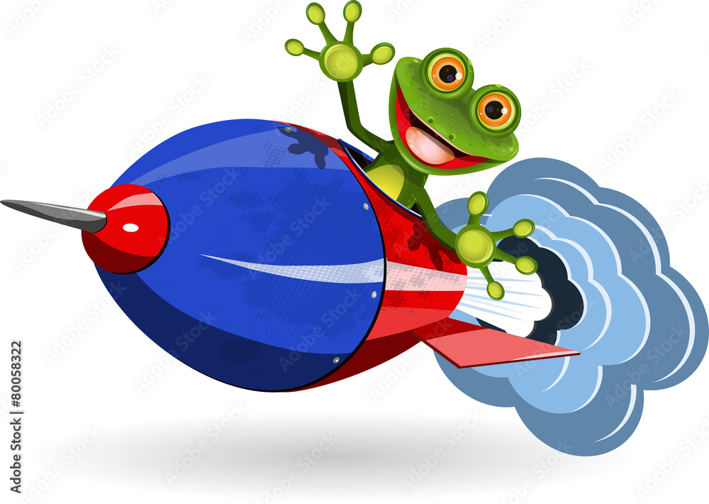 Fototapeta premium Frog in a Rocket