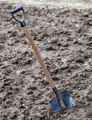 Garden spade in soil