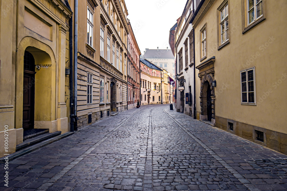 Obraz premium Street in Cracow's old town