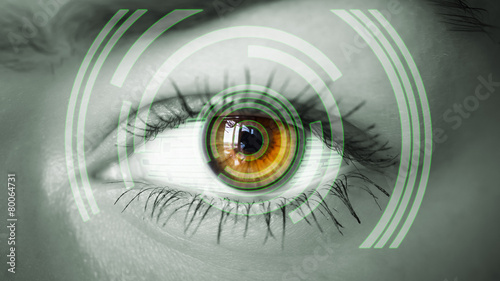 Eye viewing digital information. Conceptual image. photo