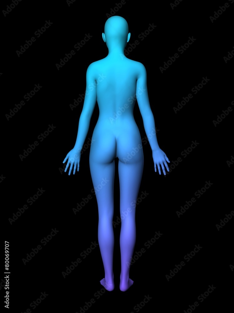 woman body woman body