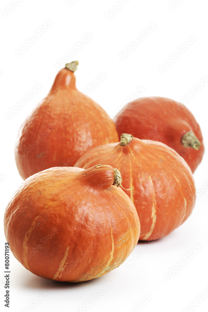 Vier Hokaido Kürbisse (Cucurbita)