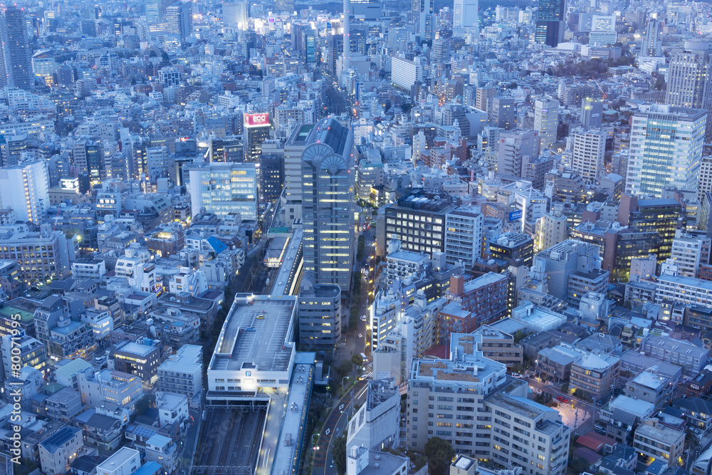 東京都市風景　渋谷と恵比寿を俯瞰で望む　トワイライト