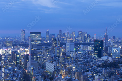 東京都市風景　渋谷と新宿高層ビル群を望む　トワイライト