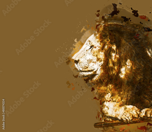 Fototapeta Naklejka Na Ścianę i Meble -  Lion closeup portrait. Abstract illustration. clipping path