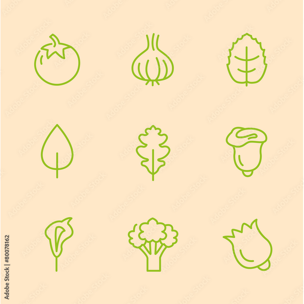 Flat Line Vegetables Icons Vector Illustration