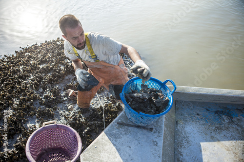 commercial oyster fisherman photo