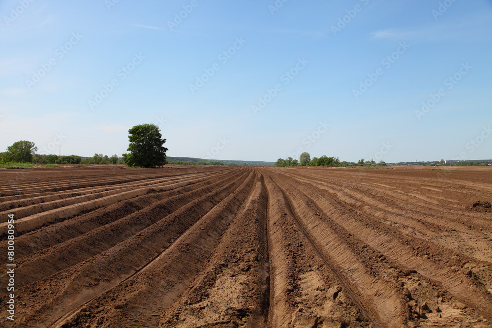 Plowed field in spring day