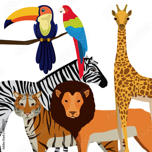 Jungle design