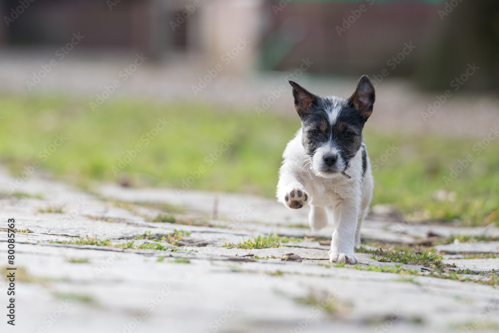 Passeggiata