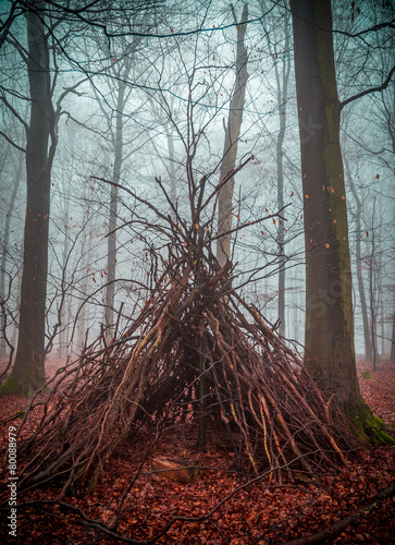 Hexenhaus im Wald mit Nebel