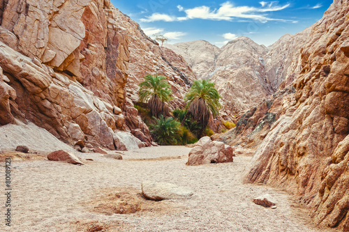 Canyon in Egypt. Egypt, the mountains of the Sinai desert photo
