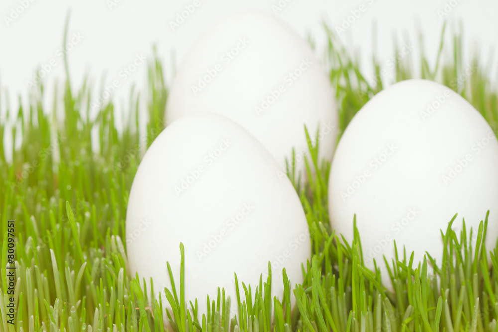 three white eggs in grass three white eggs in grass