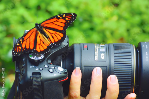 Butterfly on my camera
