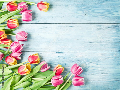 Pink and red tulips on a wooden background.