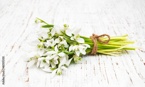 snowdrops bunch on wooden background