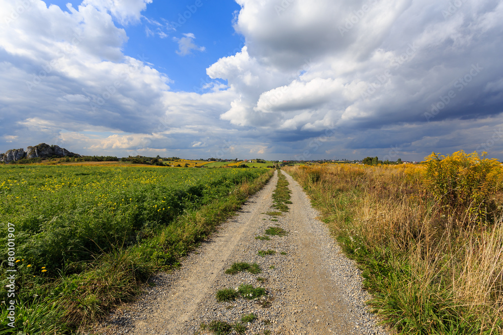 Rural road in summer landscape of Poland near Krakow Rural road in summer landscape of Poland near Krakow