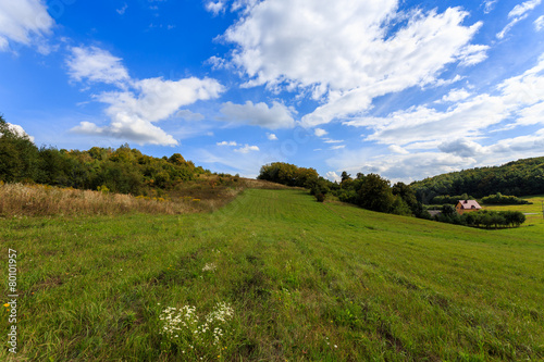 Green farming field in summer landscape of Poland near Krakow