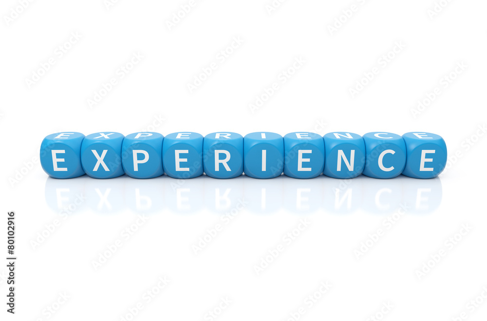 Experience Experience