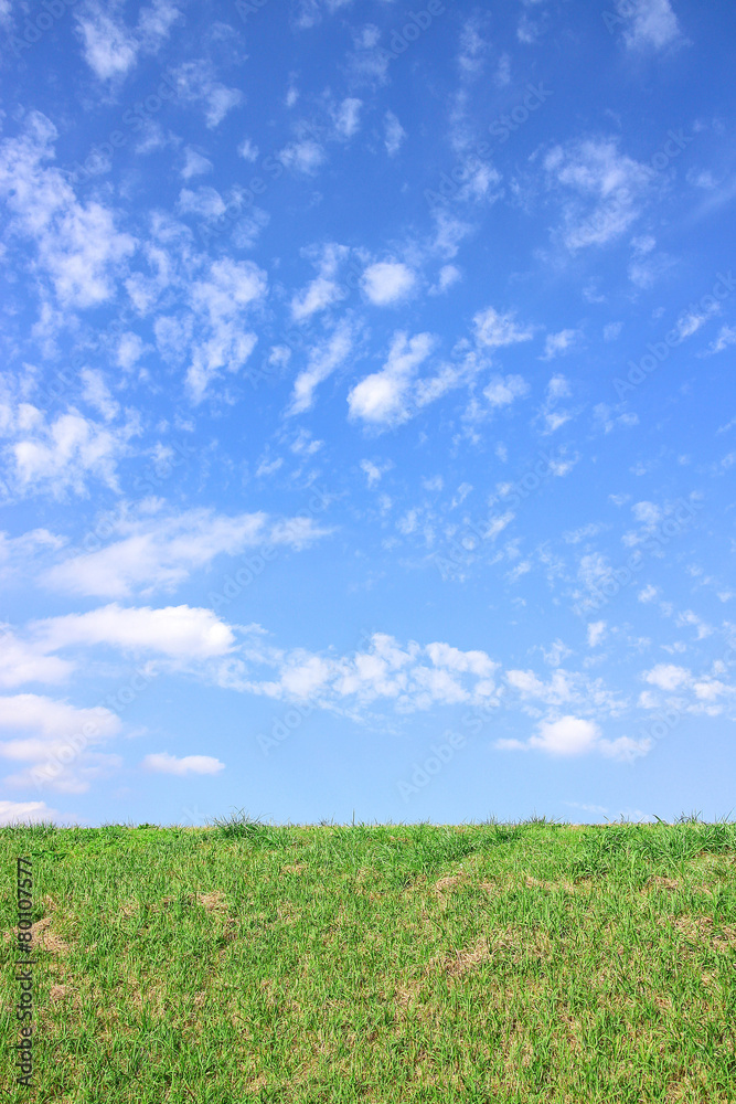 Obraz premium 草原 東京