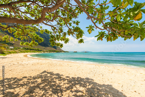 Hawaiian beach with sand and mountain background © Frank Fennema