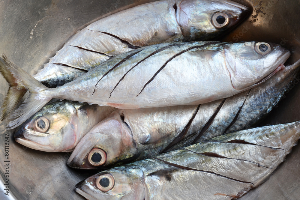 fresh tuna fresh tuna