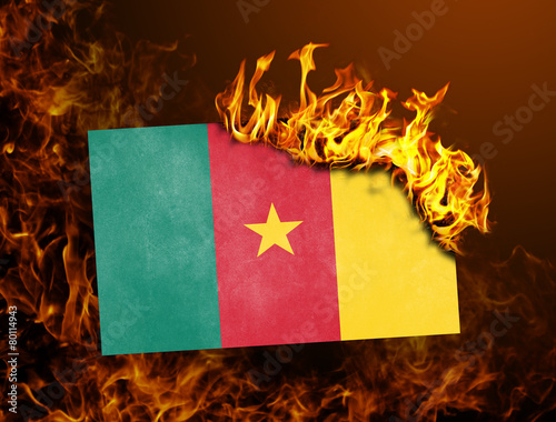 Flag burning - Cameroon