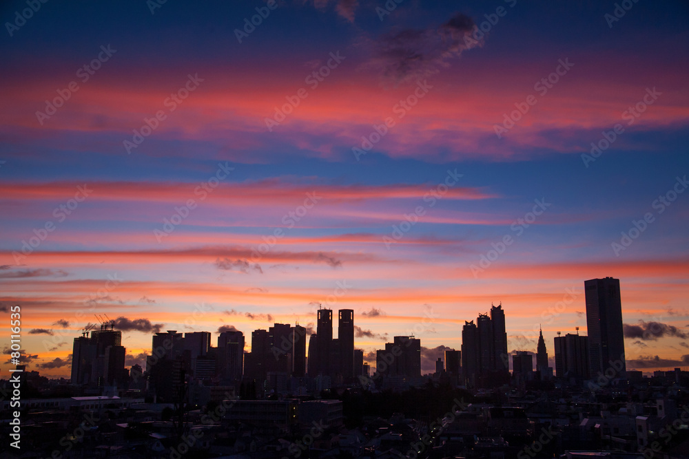 Fototapeta premium 東京の朝
