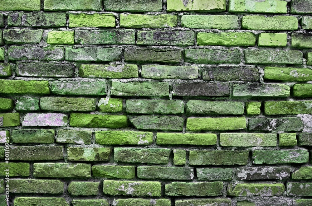 Naklejka premium texture brick wall