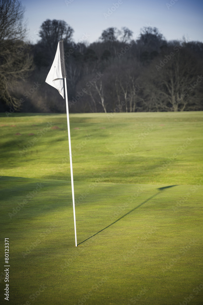 Obraz premium Golf green