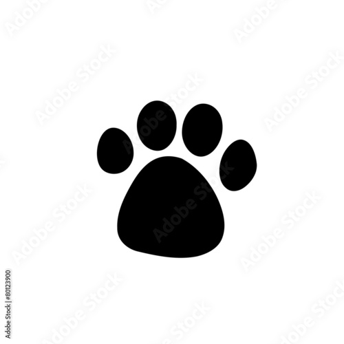 Dog footprints